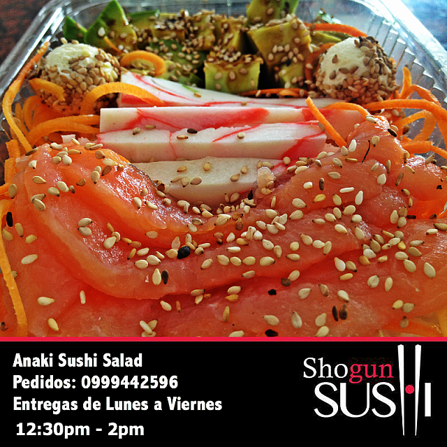 salda1shogun