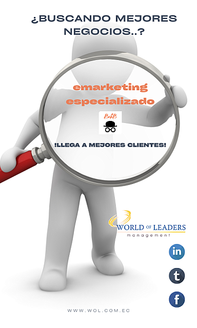 www.wol.com.ec (2)