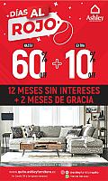 Ashley al rojo 1000-01
