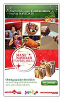 mailing maxi-empresarial