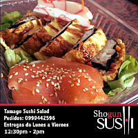 salad3shogun